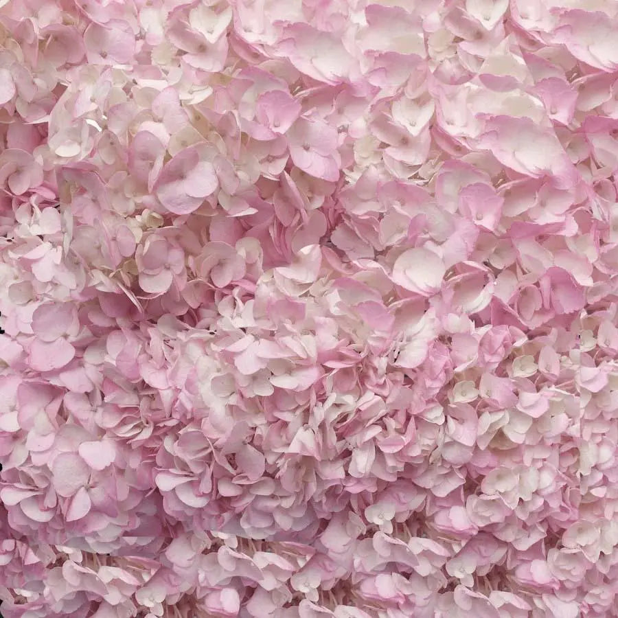 Hydrangea Purple Premium