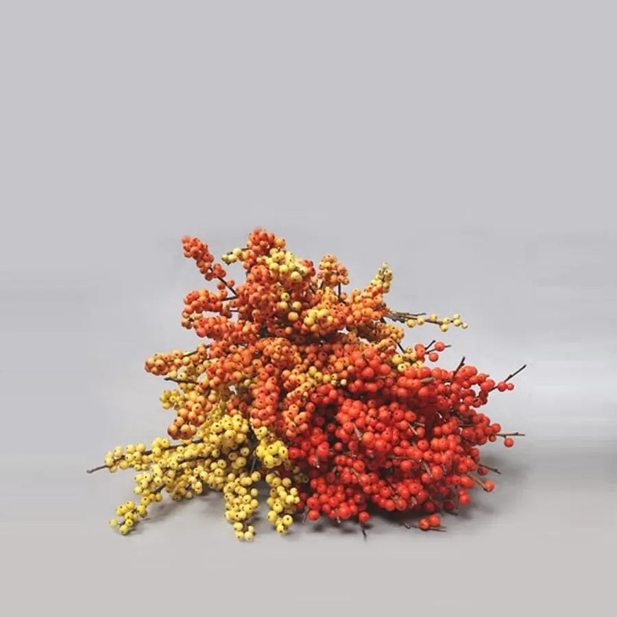 Ilex Fall Assorted - 60 Stem Bunch