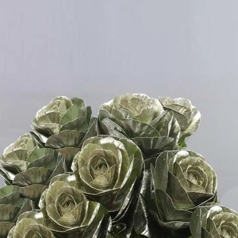 Kale Painted - 20 Stem Bunch