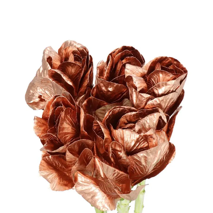 Kale Painted - 40 Stem Bunch Holex Dutch