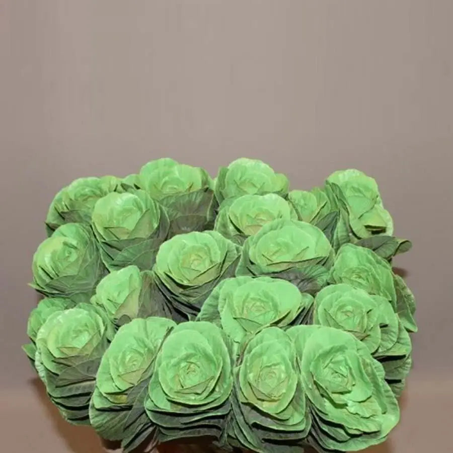 Kale Painted - 20 Stem Bunch
