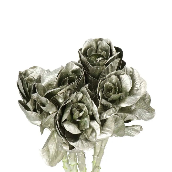 Kale Painted - 40 Stem Bunch Holex Dutch