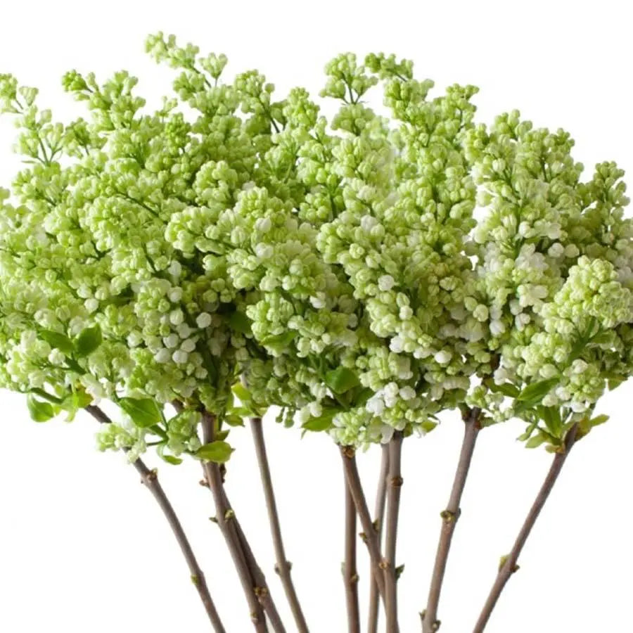 Lilac Madame Florent Stepman - 10 Stem Bunch