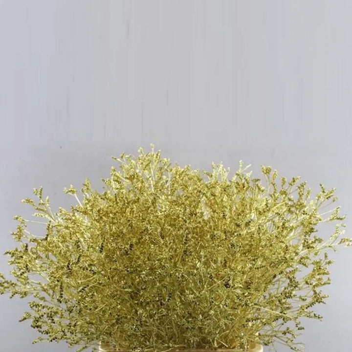 Limonium Painted - 25 Stem Bunch
