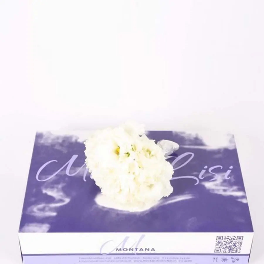 Lisianthus Cut Blooms White - 50 Bloom Pack
