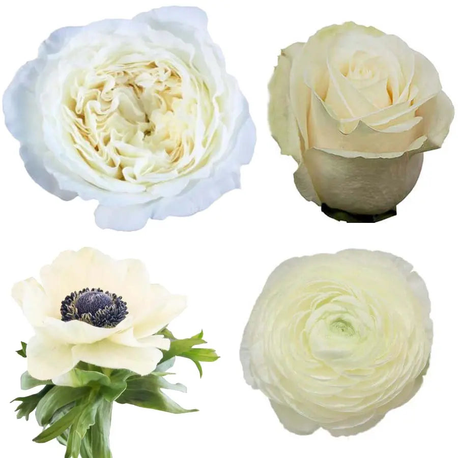 White PetalKit PetalDrivenCom