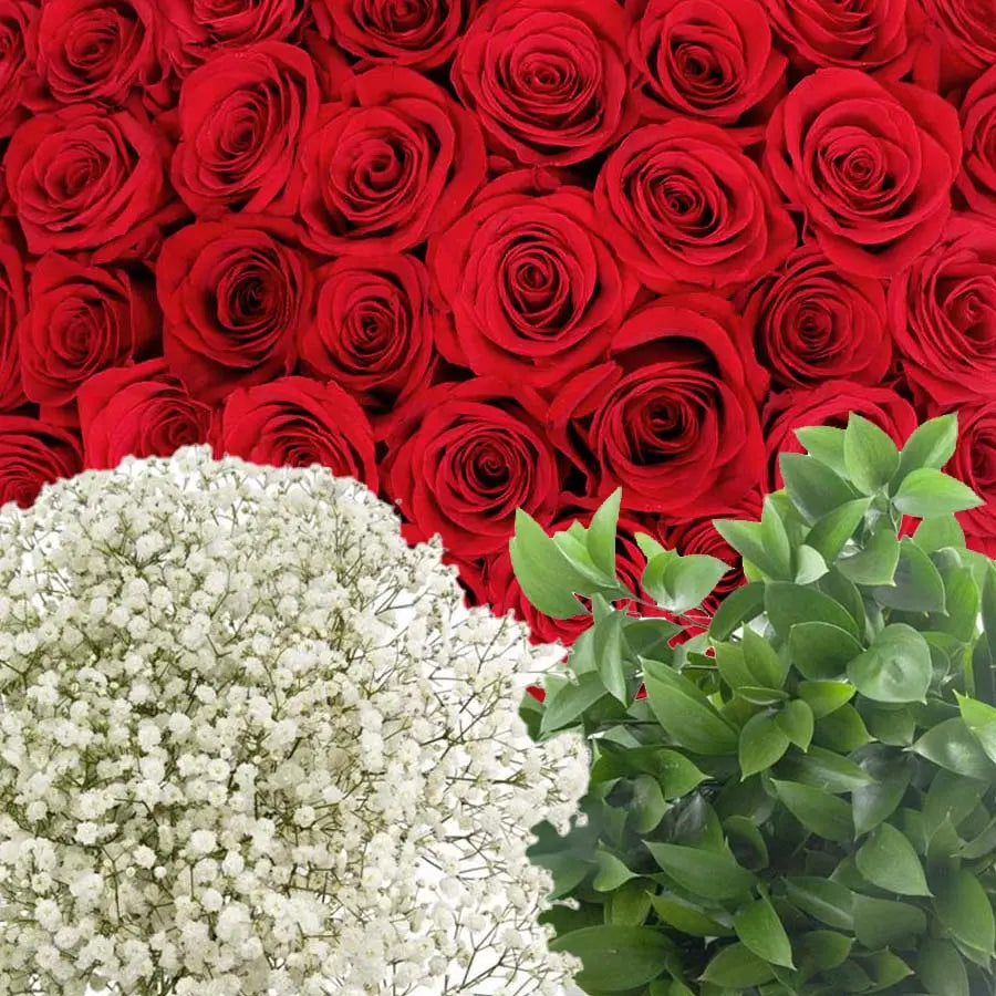 Traditional Red Rose PetalKit PetalDrivenCom