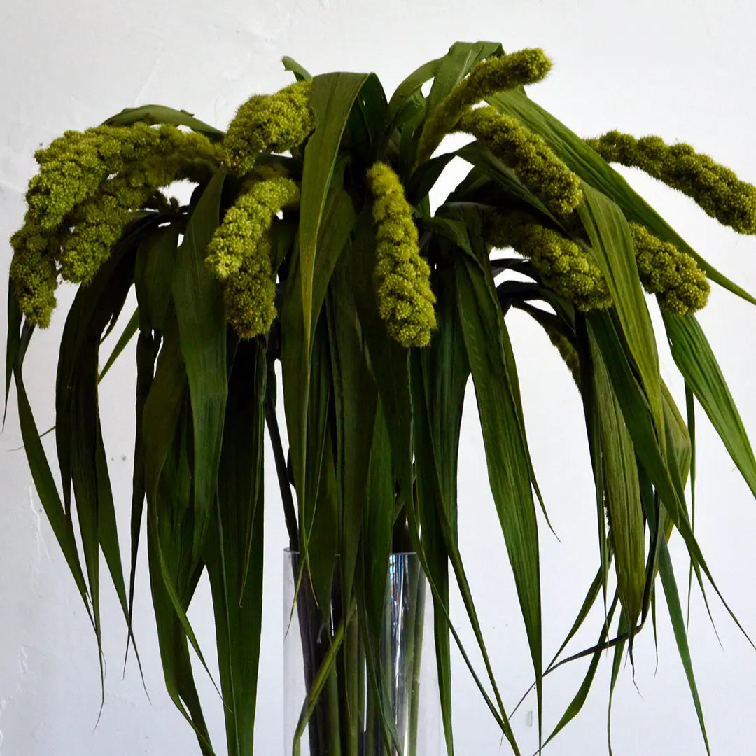 Millet