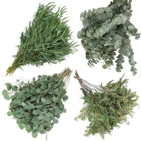 Mixed Eucalyptus Box