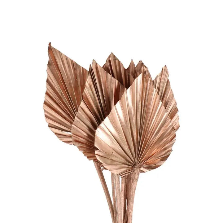 Palm Spears Painted (Dried) - 5 Bunches