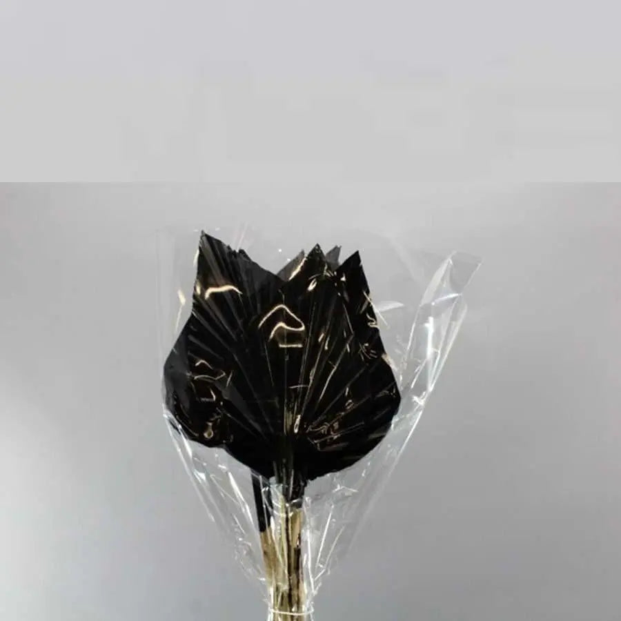 Palm Spears Painted (Dried) - 5 Bunches