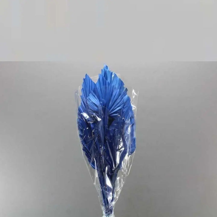 Palm Spears Painted (Dried) - 5 Bunches