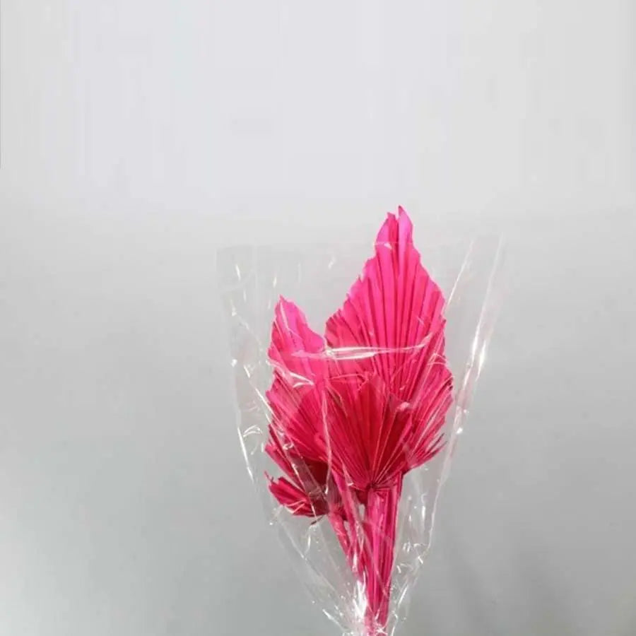 Palm Spears Painted (Dried) - 5 Bunches