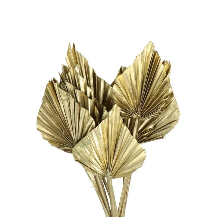Palm Spears Painted (Dried) - 5 Bunches