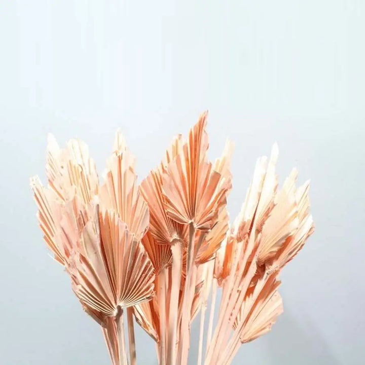 Palm Spears Painted (Dried) - 5 Bunches