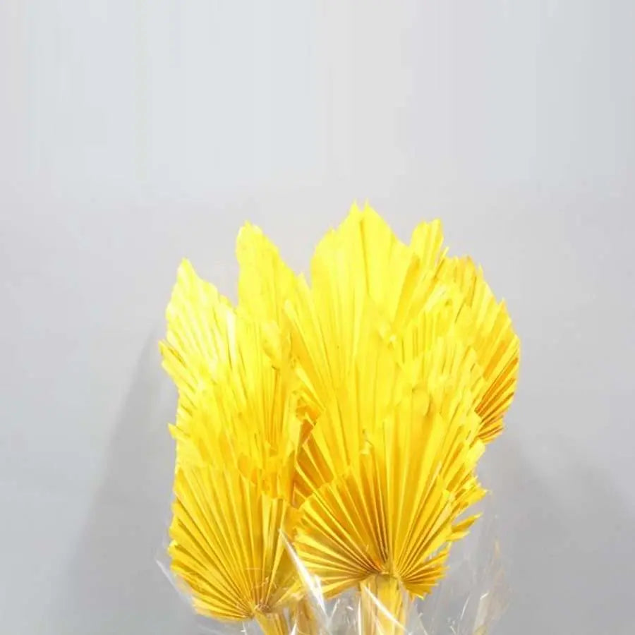 Palm Spears Painted (Dried) - 5 Bunches