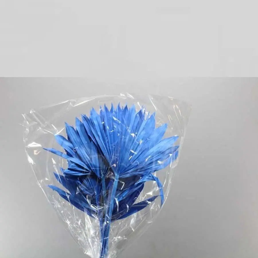 Palm Sun Painted (Dried) - 5 Bunches