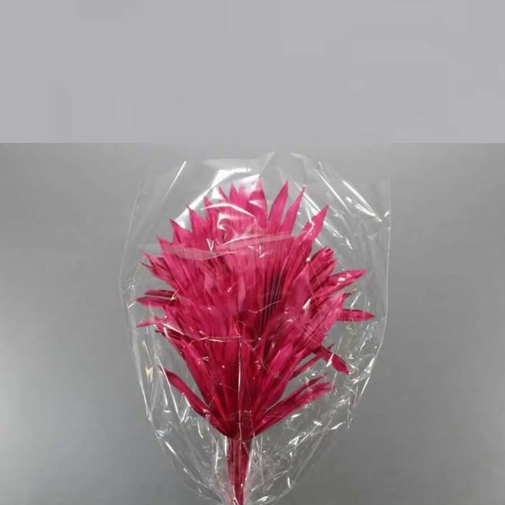 Palm Sun Painted (Dried) - 5 Bunches