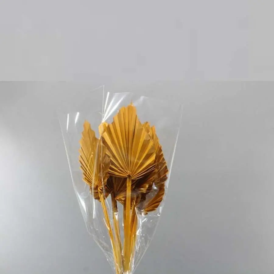 Palm Sun Painted (Dried) - 5 Bunches
