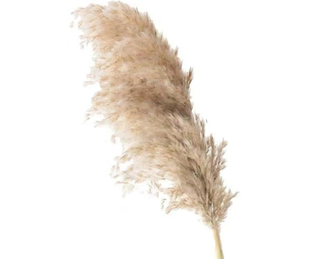 NWT Ashland Bush of Gold Pampas Grass - Approx. 21 Tall x 7 Long x 5 Wide