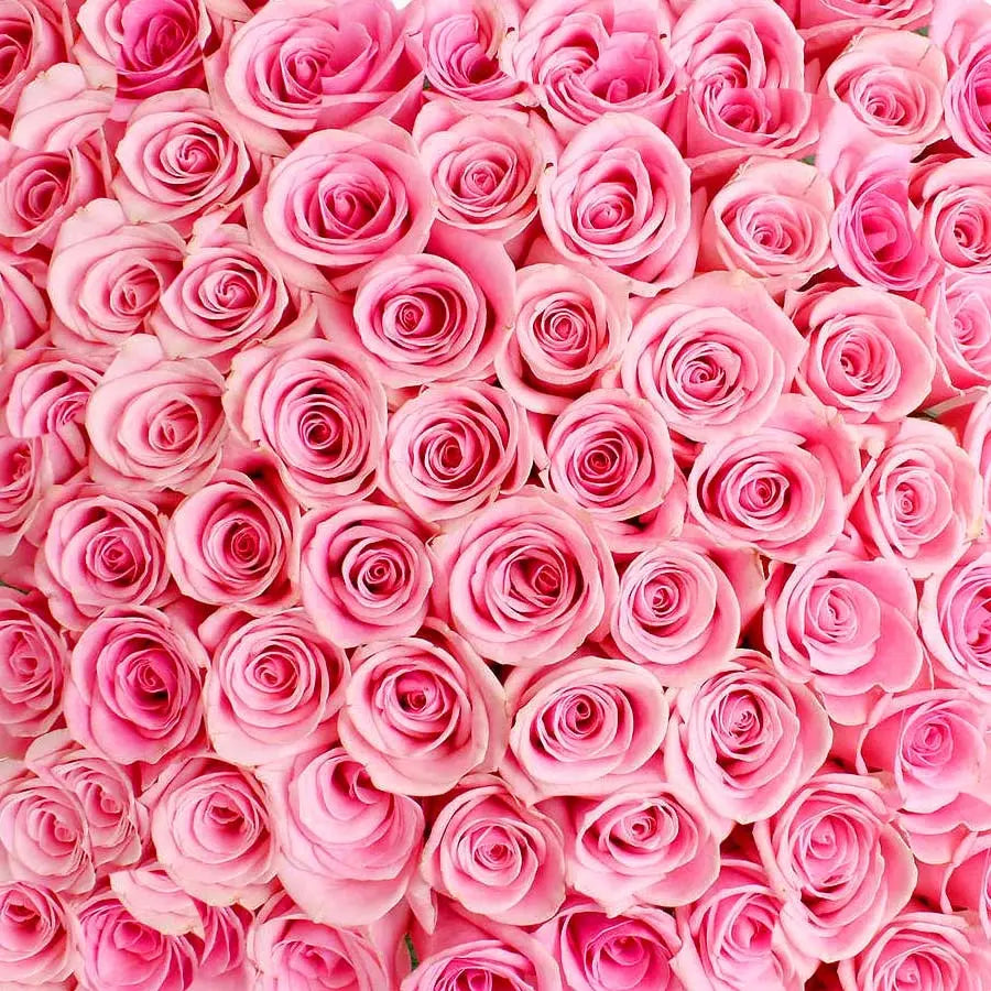 Traditional Pink Rose PetalKit PetalDrivenCom