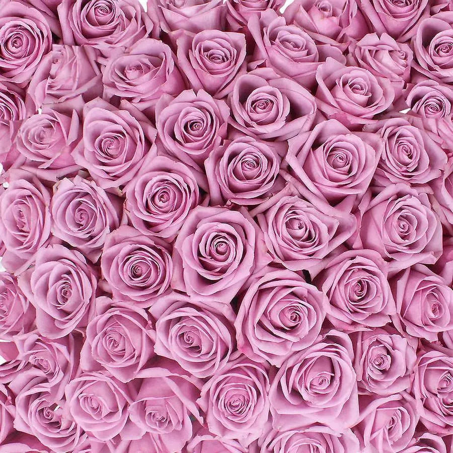 Purple Roses