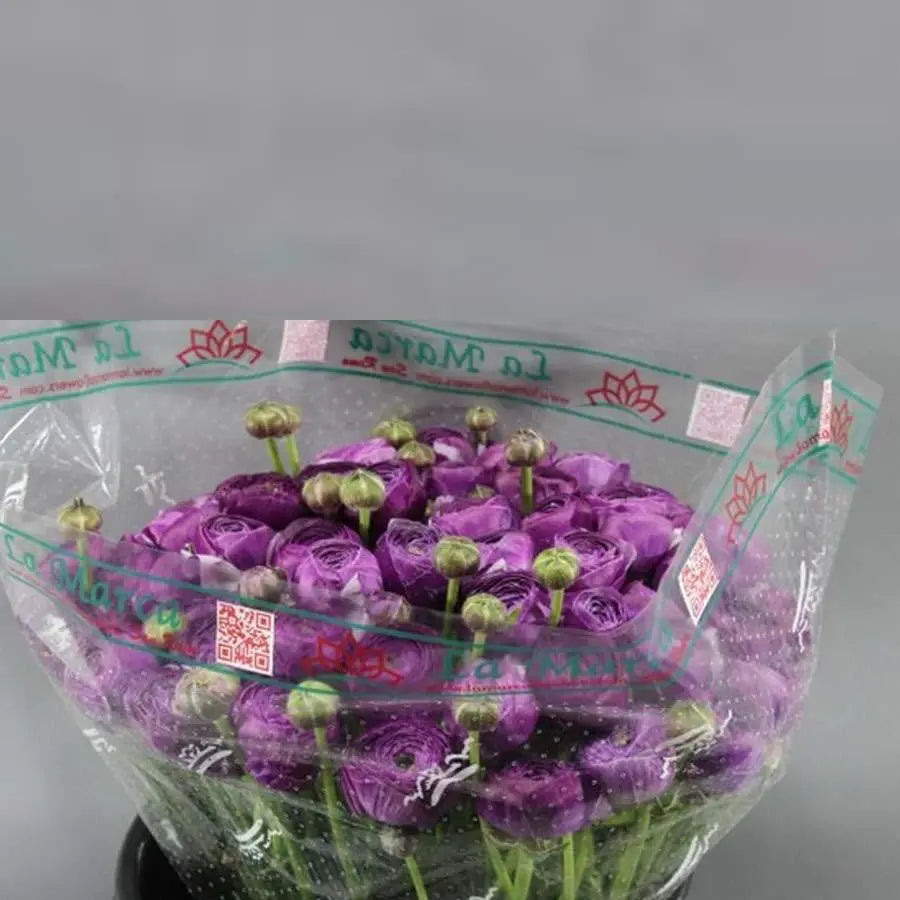 Ranunculus Cloony Antoine 40cm - 50 Stem Bunch