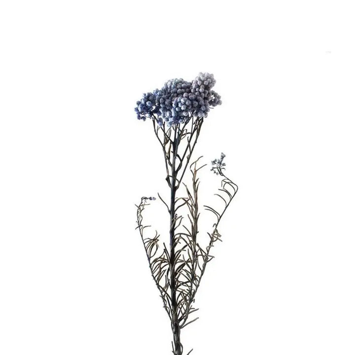 Rice Flower Painted (Dried) - 10 Bunches