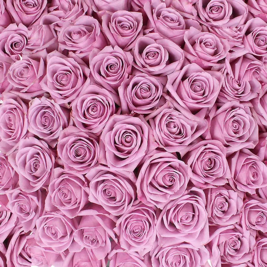 Traditional Purple Rose PetalKit PetalDrivenCom