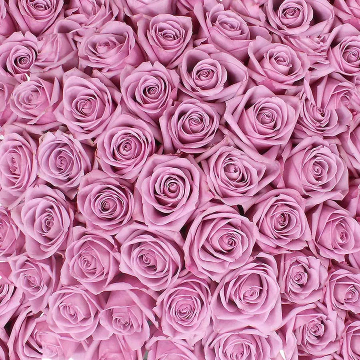 Traditional Purple Rose PetalKit PetalDrivenCom