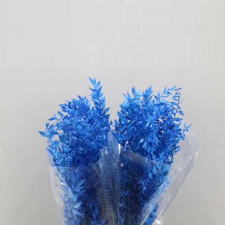 Ruscus Italian Preserved - 10 Bunches
