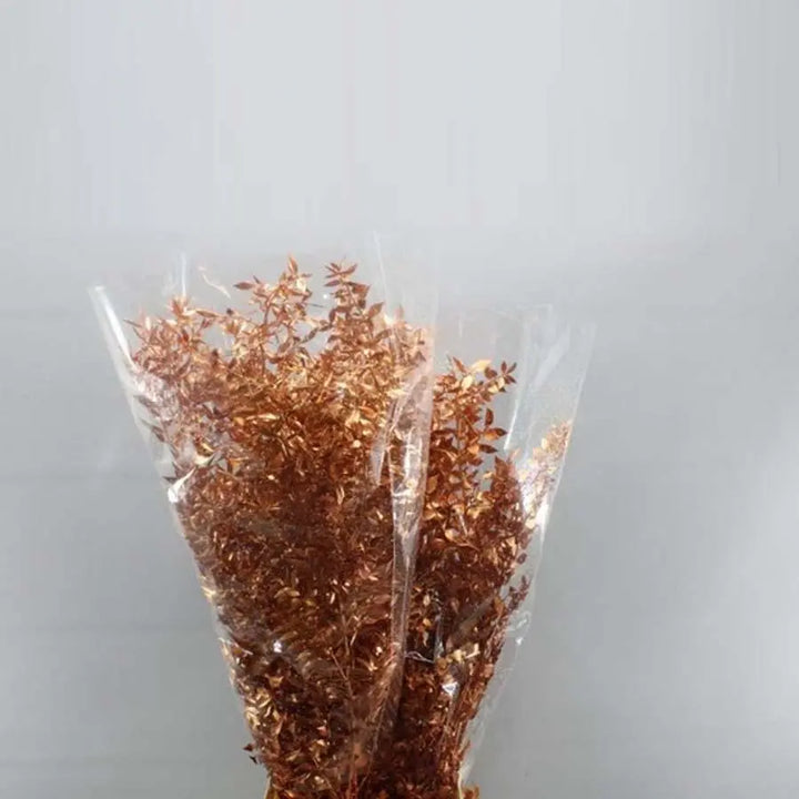 Ruscus Italian Preserved - 10 Bunches