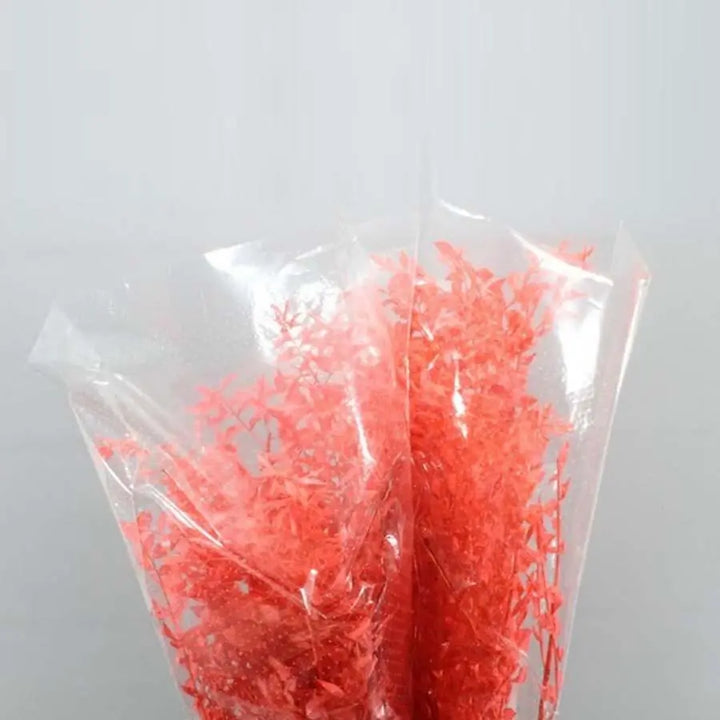 Ruscus Italian Preserved - 10 Bunches