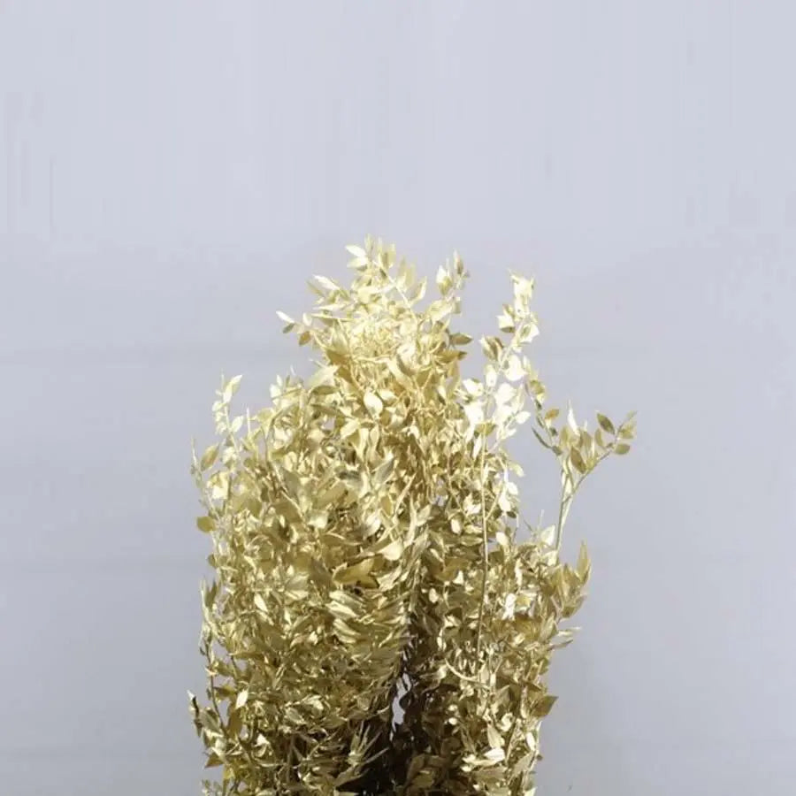 Ruscus Italian Preserved - 10 Bunches