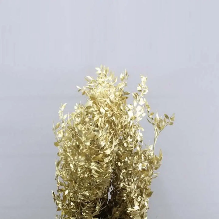 Ruscus Italian Preserved - 10 Bunches