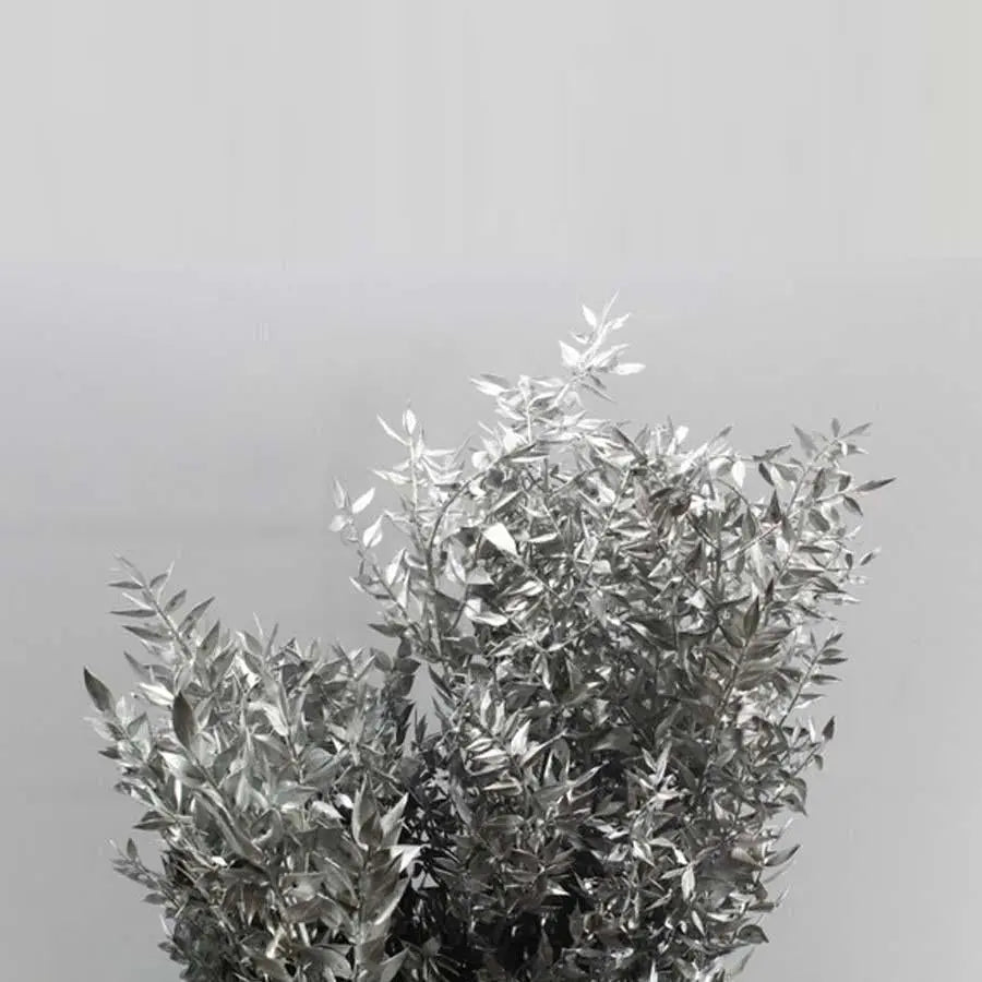 Ruscus Italian Preserved - 10 Bunches