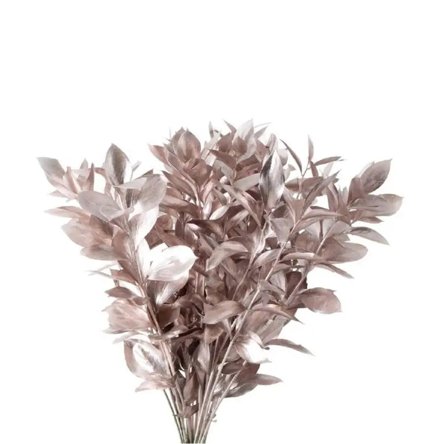 Ruscus Painted - 50 Stem Bunch