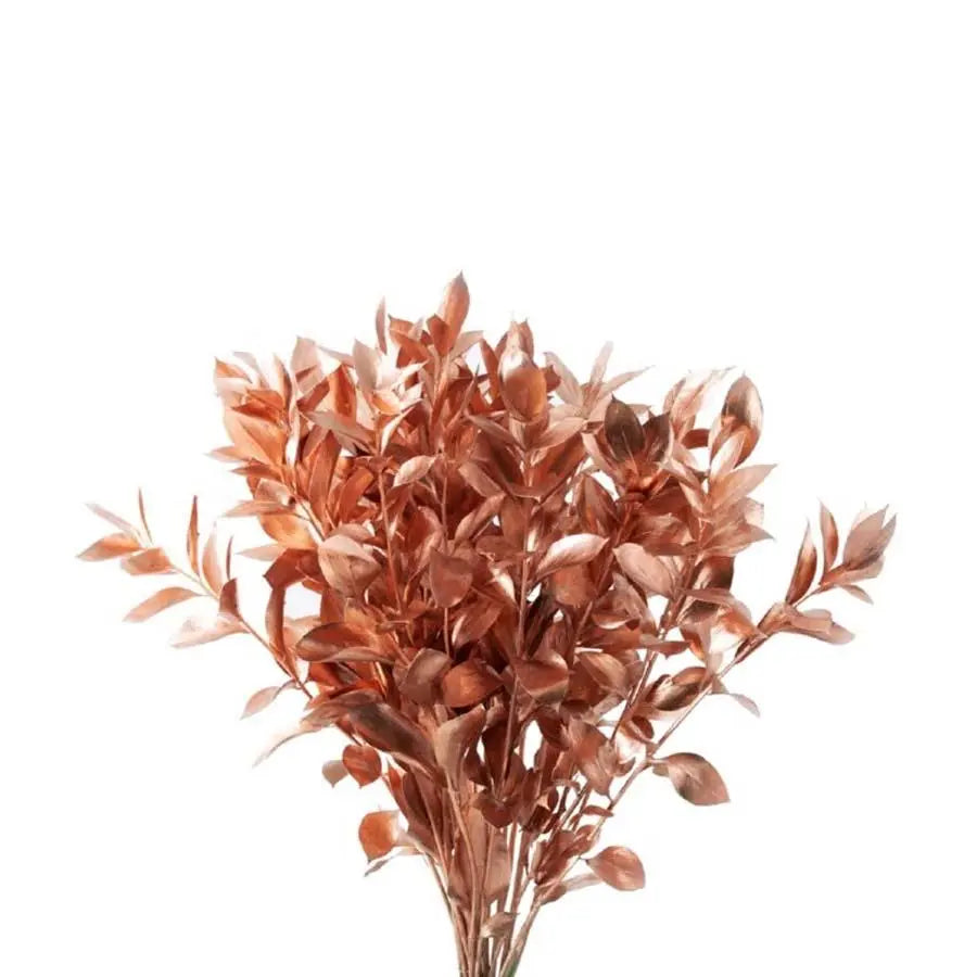 Ruscus Painted - 50 Stem Bunch