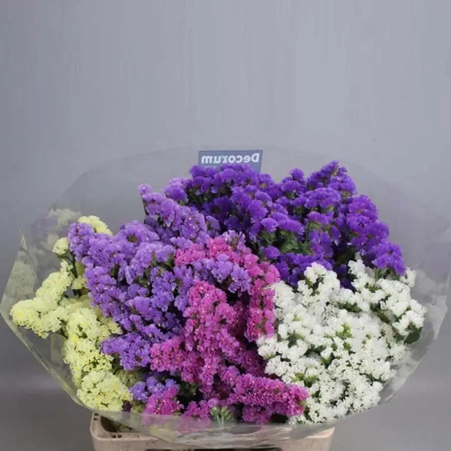Statice Mixed - 25 Stem Bunch