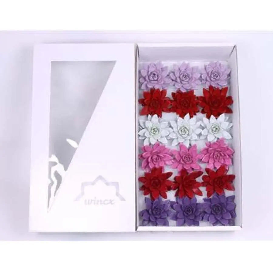 Succulent Painted Love Assorted 