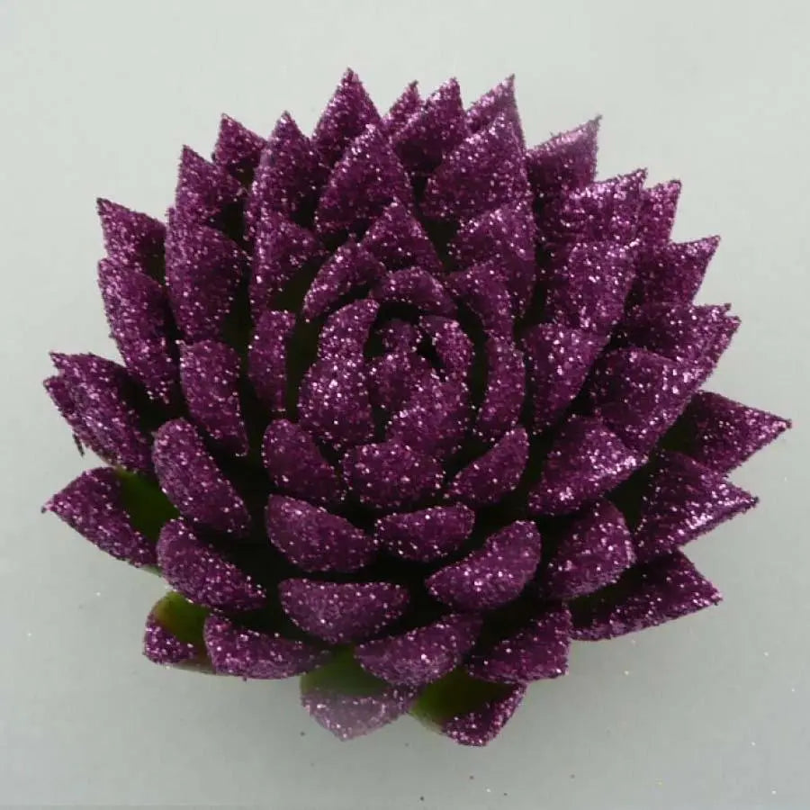 succulent purple cactus Succulents Painted