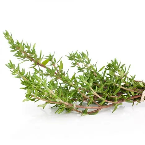 Thyme