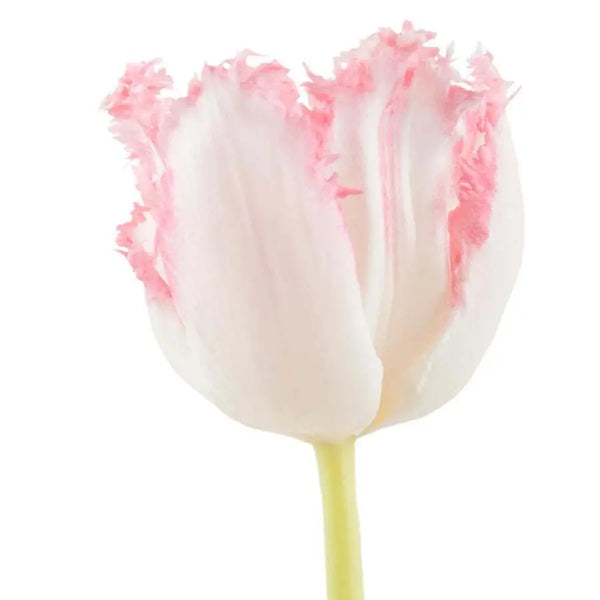 手芸素材・材料 tulip様 ⭐80 *️⃣220✳️45◇133 ミンクファー