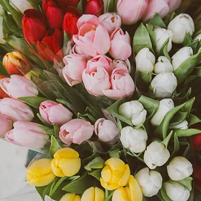 Ashlyn Carter Spring Flower Kit - Tutorial Included PetalDrivenCom