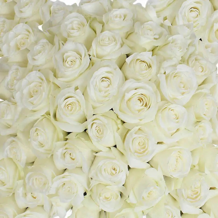 White Roses