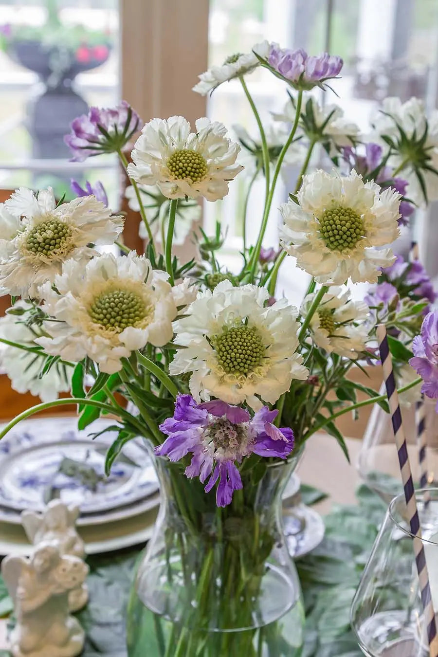 Grace In This Space PetalKit - Includes Tutorials PetalDrivenCom