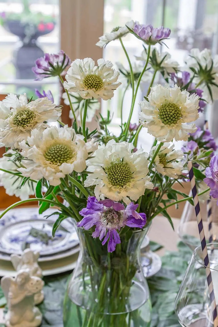 Grace In This Space PetalKit - Includes Tutorials PetalDrivenCom